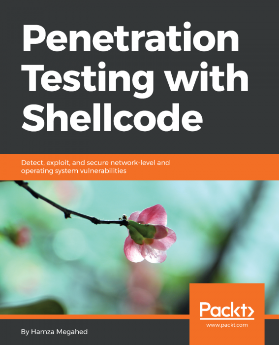 Penetration Testing with Shellcode